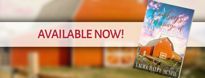 Sweet Mountain Ranch Book 3